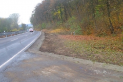 Bild-27-Balgstädt