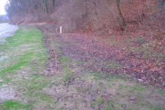 Bild-28-Balgstädt