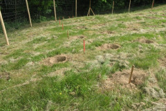 Bild-15-Chemnitztal-1