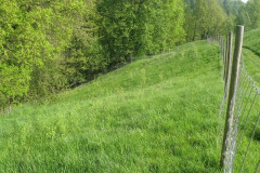 Bild-16-Chemnitztal-1