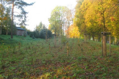Bild-18-Chemnitztal-1