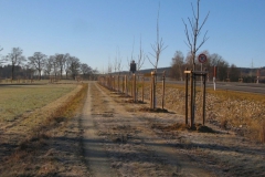 Bild-35-Falkenbach