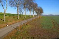 Bild-36-Falkenbach