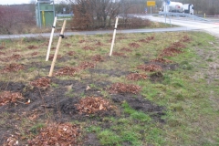 Bild-33-Freyburg