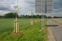 Bild-23-Zerna