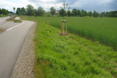 Bild-24-Zerna