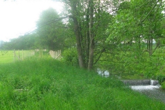 Bild-25-Zerna