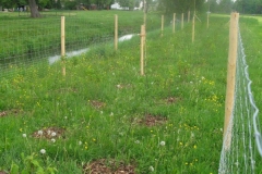 Bild-26-Zerna